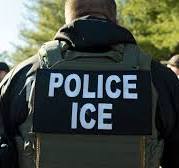 ICE arrests native born children